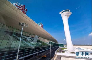 武漢，網紅城市的魅力正在綻放