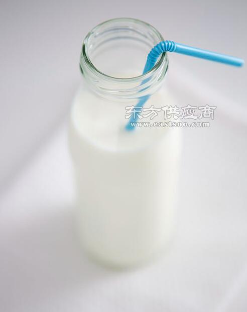 武漢綠洲海食品 匠心打造優(yōu)質(zhì)豆奶，傳遞健康與美味